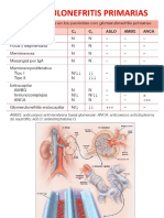 Glomerulonefritis Primarias 2