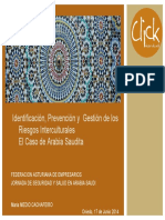 Ponencia. Identificación, Prevención y Gestión de Los Riesgos Interculturales PDF