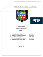 Respiración Informe 6