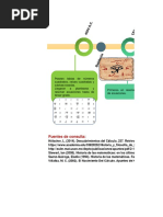 Linea Tiempo Calculo