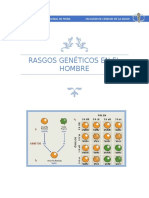 Laboratorio 10