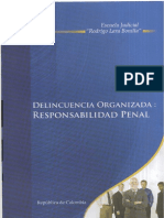DELINCUENCIA ORGANIZADA - AUTORIA Y PARTICIPACION EJRLB.pdf