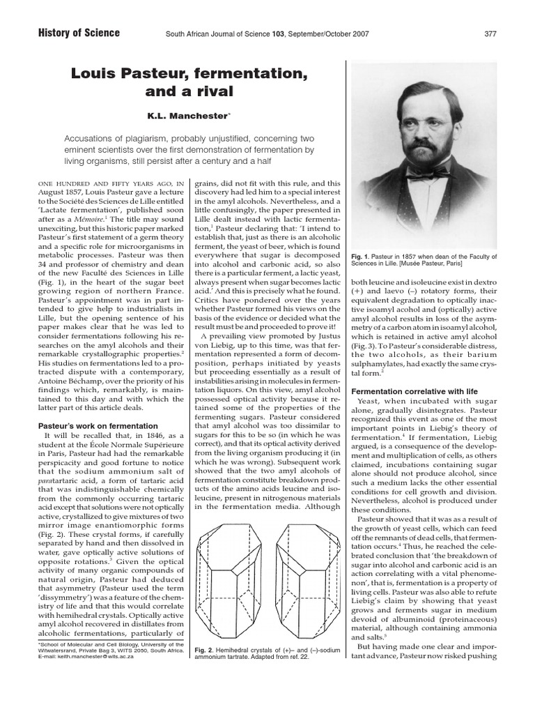 Louis Pasteur, Fermentation, and A Rival: History of Science | PDF ...