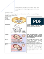 Mechanism of Labor