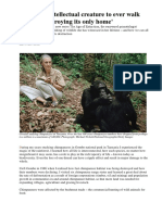 Jane Goodall: Chimpanzees and The Age of Extinction