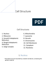 cell structure interactive