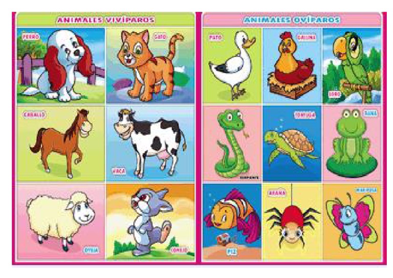 Animales Viviparos Y Oviparos