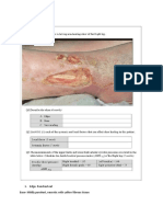 Orthopedic Exercises 1