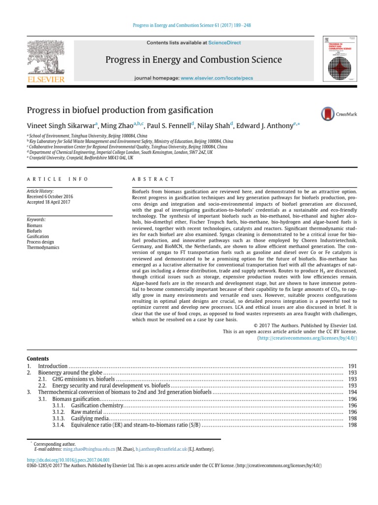 Biofuel Gasification | PDF | Biomass | Biofuel