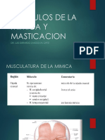 Musculos de La Mimica y Masticacion Final