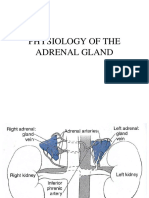 Adrenal Gland PDF