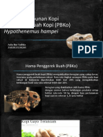 Aulia NF - 25010115130205 - Hama Perkebunan Kopi - Hypothenemus Hampei