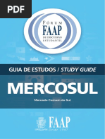 Guia Estudo Mercosul v2