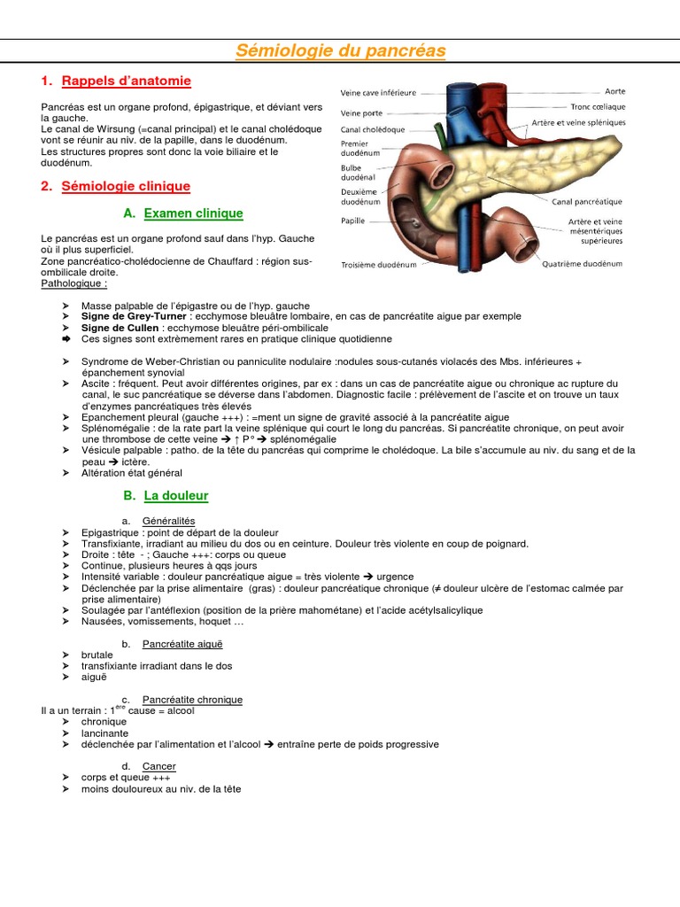 s-miologie-et-pathologies-du-pancr-as-pdf-pancr-as-glande-exocrine