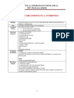 Test La Antibiotice Si Reactia PPD Office Word Document