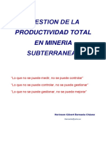 Gestion de Productividad Total Mineria Subterranea PDF