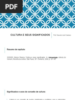 1437547_Aula 1 B - Cultura e Seus Significados