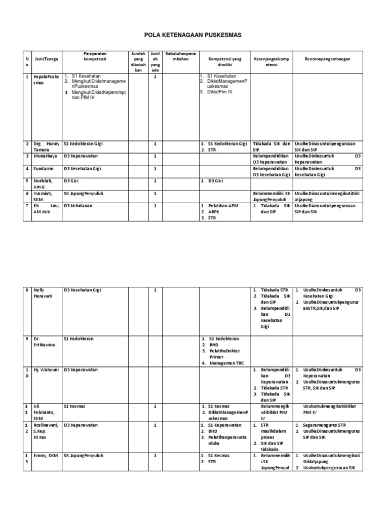 2.3.4.2. Pola Ketenagaan Puskesmas