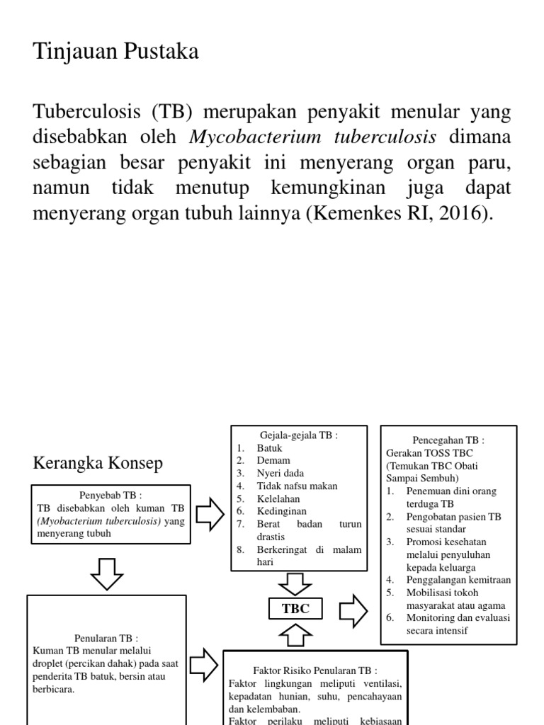 Tinjauan Pustaka TB  PDF