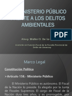 7.EL MINISTERIO PUBLICO FRENTE A LOS DELITOS AMBIENTALES.ppt