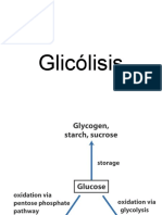 4.0 Glucolisis