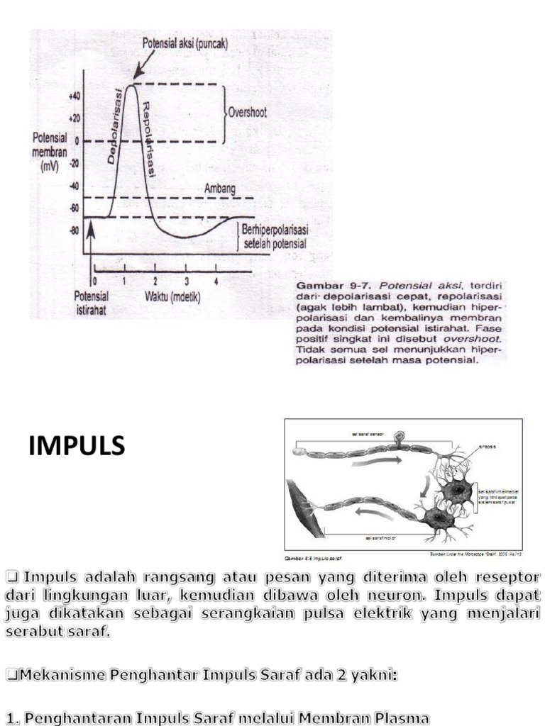 Voyaga etgan ayollar qinining porno fotosuratlari