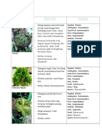 PERBAIKAN Pengamatan Keanekaragaman Hayati Plantae