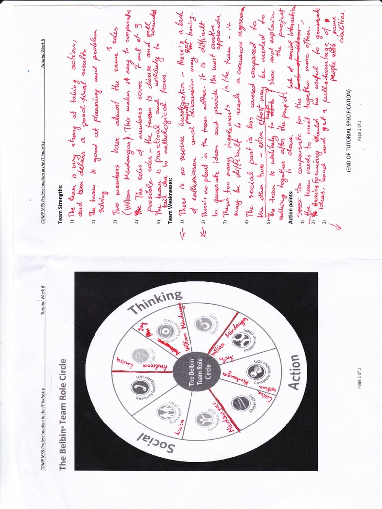 Belbin | PDF