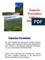 2.2. Esp Forest - Tara