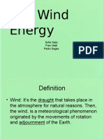 The Wind Energy: Sofía Seijo Fran Vidal Pedro Sagas