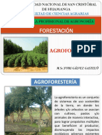 2.1. Agroforestería