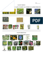 0___plante_tehnicesi_plante_medicinale.pdf