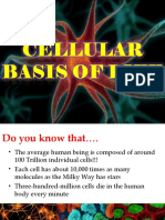 Cellular Cell