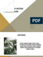 Ekosistem Hutan Pegunungan