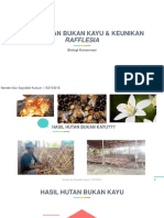 Hasil Hutan Bukan Kayu