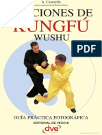 Lecciones de Kung Fu Wushu