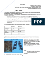 16 - Anatomia II - 08.03.2017 - R.pdf