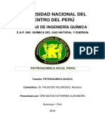 PETROQUIMICA EN EL PERU.docx