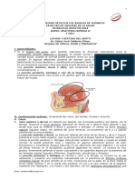 LENGUA Y SENTIDO DEL GUSTO.pdf