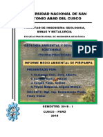 Informe Medio Ambiental de Piñipampa