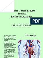 Anatomía Del Corazón. Arritmias - Ecg