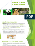 Animales Herbivoros