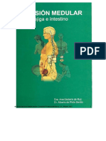lalesionmedular-110320200746-phpapp02.pdf