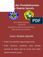 Diagnosis Dan Penatalaksanaan Tumor Medula Spinalis