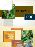 botrytis.pptx