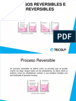 Procesos Reversibles e Irreversibles