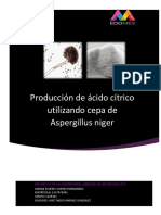 Producción de Ácido Cítrico Utilizando Cepa de Aspergillus Niger