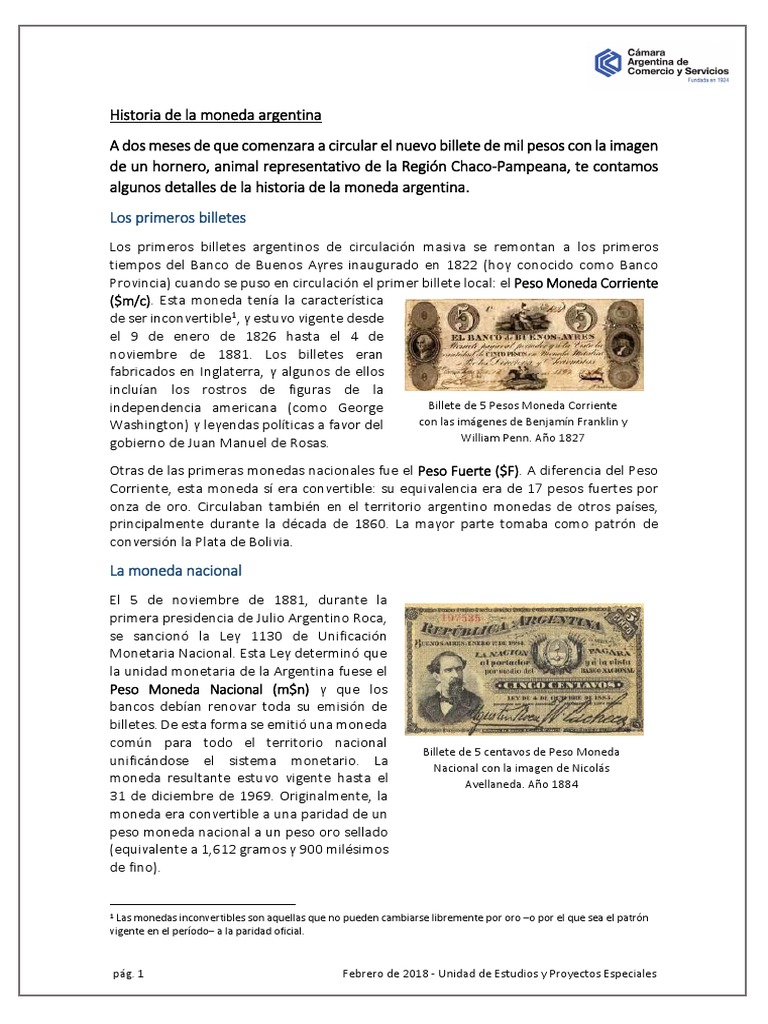 16 - Historia de La Moneda Argentina | PDF | Moneda | Mercado de divisas
