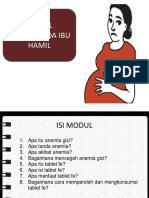 Modul Anemia Gizi