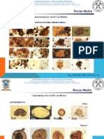 Geologia Del Petroleo Parte 2